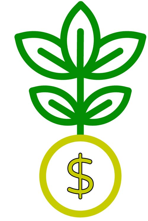 Icon plant growing out of money to display a growing investment opportunity.