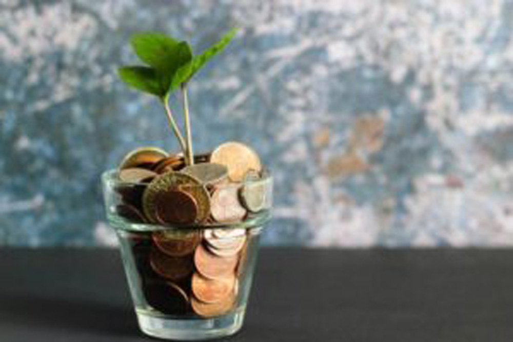 Plant growing out of a pot filled with coins to show retirement savings growing.