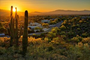 Houses-between-Saguaros-Cacti-in Tucson-Arizona