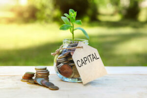 A coin jar with a plant growing out of it and a label “capital,” displaying that Investment Sponsors and Fund Managers can raise capital with Self-Directed IRAs.