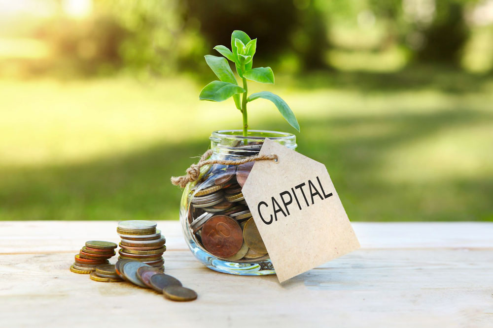 A coin jar with a plant growing out of it and a label “capital,” displaying that Investment Sponsors and Fund Managers can raise capital with Self-Directed IRAs. 