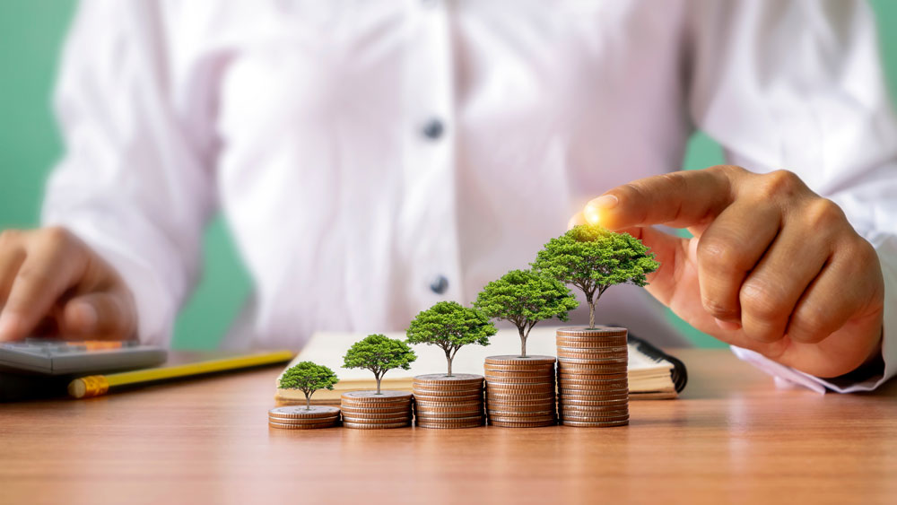 Increasing stacks of coins with miniature trees on top with an investor pointing at the tallest stack to indicate that you can grow your retirement savings with a Self-Directed IRA.