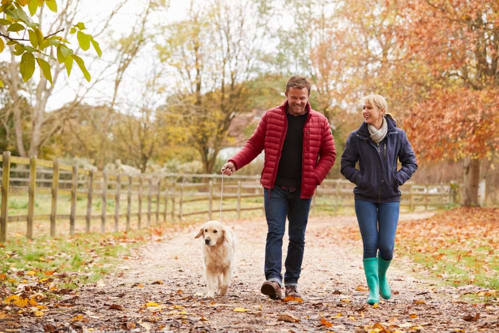 A retired couple walking their dog in the fall and planning their legacy with a Directed Trust.