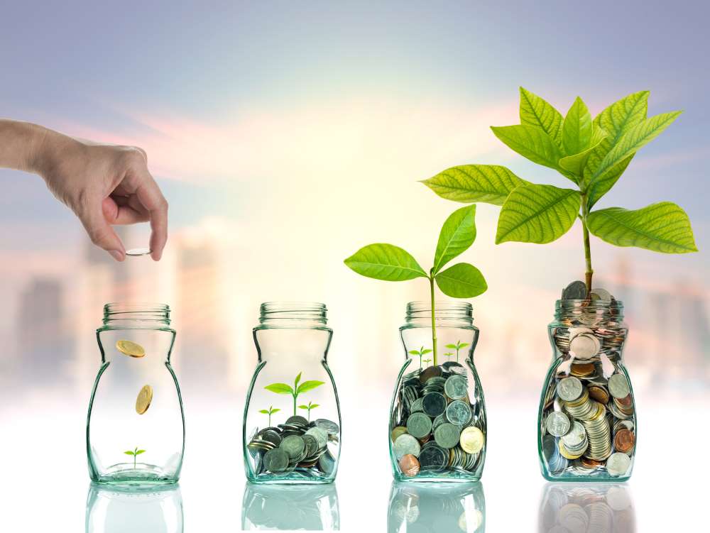 Increasing coins fill glass vases and a plant begins to bloom, indicating that a Self-Directed IRA is the seed that will help your retirement savings grow over time.
