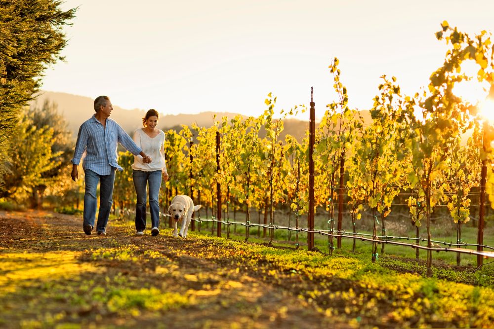 Mature couple walking hand in hand through vineyard discussing investing in a vineyard with a Self-Directed IRA