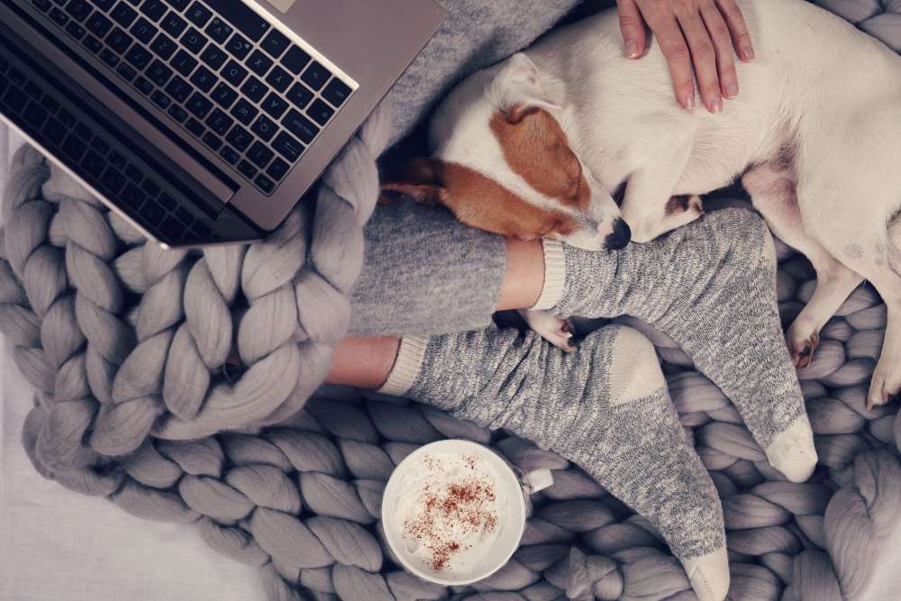 A woman sits under her blanket as she snuggles with her dog and checks on her appreciating investment through her Self-Directed IRA Custodian.