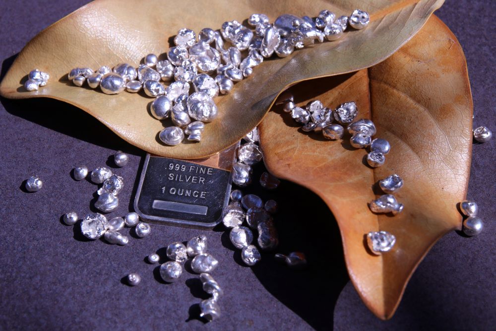 An ounce of silver rests on leaves, indicating that it is set aside for depository storage once the Self-Directed Gold IRA is established. 