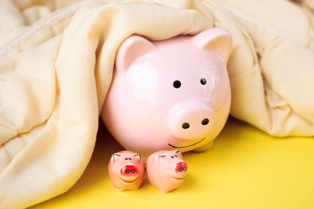 A piggy bank and two little piggies cozy under a blanket, because when you invest with a Self-Directed IRA, you can rest easy knowing you’re preparing for your retirement.