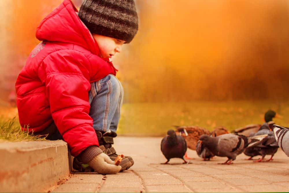 A young boy feeds a group of birds' bread, which we do not recommend as it's bad for their digestion. What we do recommend is utilizing your Self-Directed IRA this Random Acts of Kindness Day.