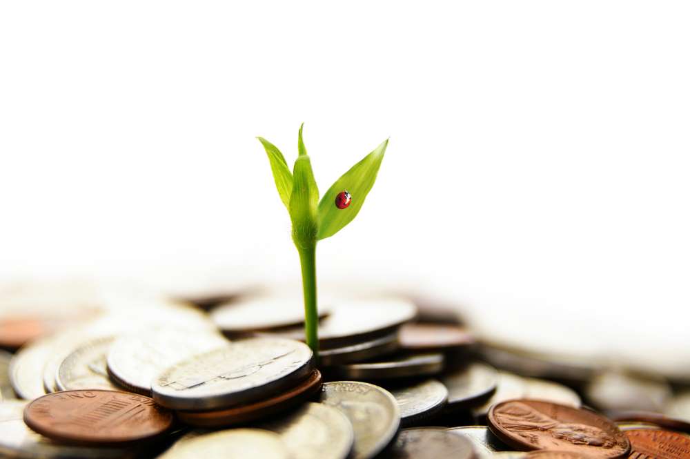 A plant sprouts out of coins, showcasing how with patience and continual saving, you can possibly accumulate a substantial retirement. 