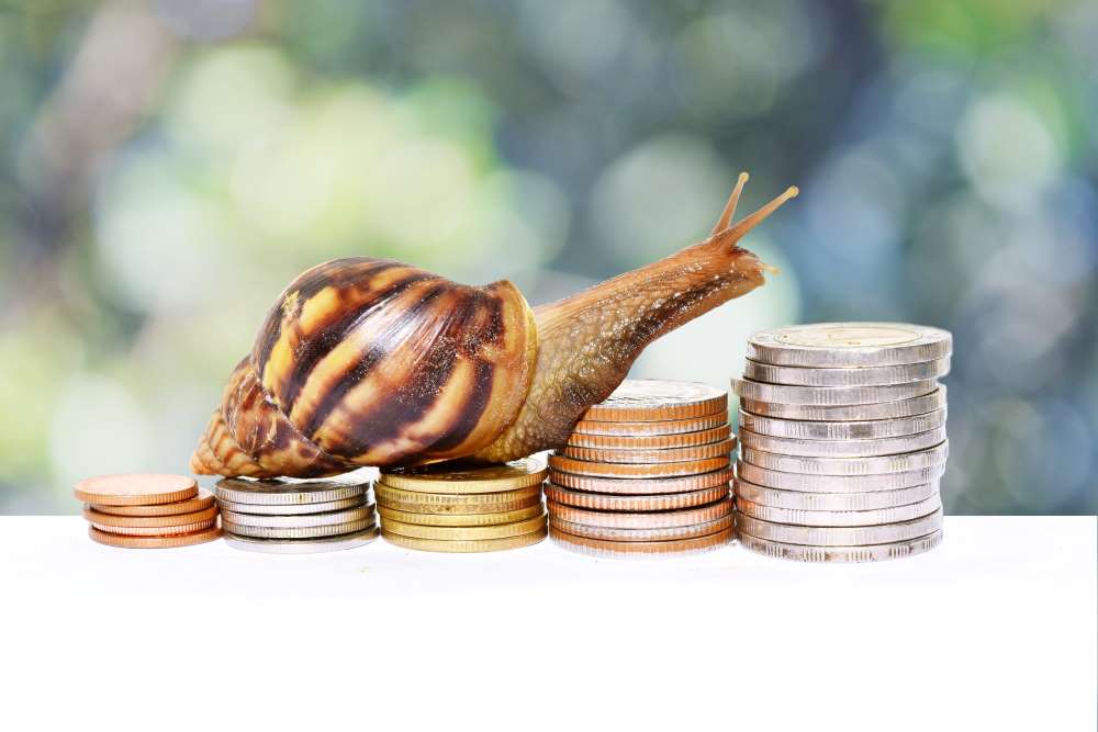 A snail glides across increasing stacks of coins, showcasing that by focusing on the long-term you can potentially grow your investment.