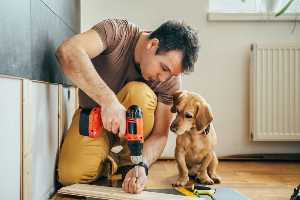 A dog and his owner refurbish a property that they purchased through their Real Estate IRA.