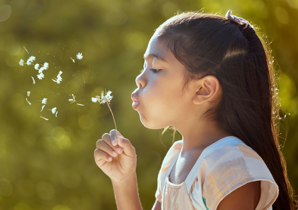 A young girl makes a wish on a dandelion flower, and Self-Directed IRAs fulfill wishes by having all funds accumulate in a tax-advantaged account.